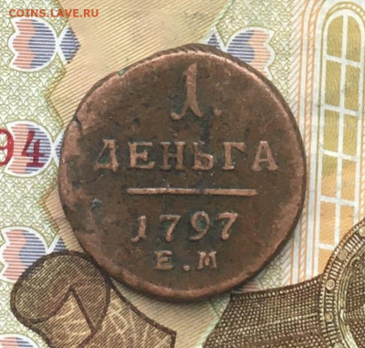 Деньга 1797 ЕМ до 31.01.2025 в 22.00 - IMG_E4876.JPG