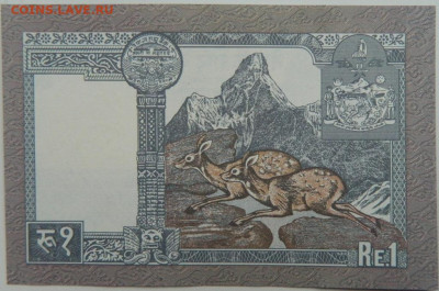 Непал 1 рупия 1991 г. С рубля! до 01.02.25 - DSCN4471.JPG