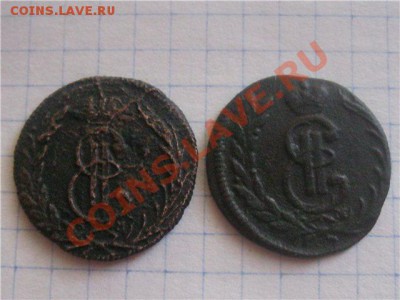 Две сибирских копейки - IMG_0989