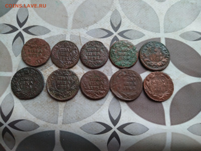 10 полушек 1734-1746 до 31.01.2025 - 10пол (5)