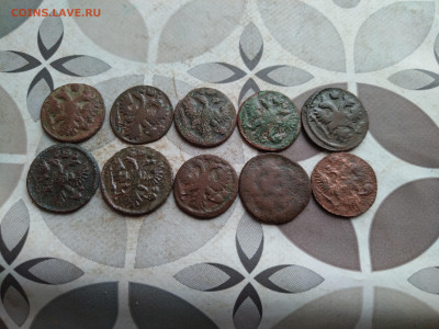 10 полушек 1734-1746 до 31.01.2025 - 10пол (6)