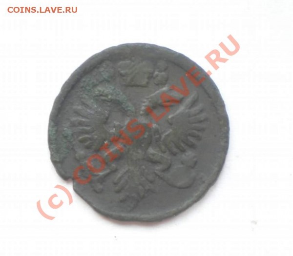 деньга 1731 года (перечекан) - P7120093_thumb