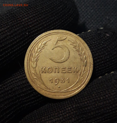 5 копеек 1931 года До 04.02 - 20241220_225530