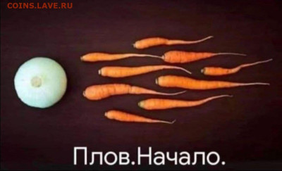 Юмор - 120