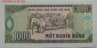 Вьетнам 1000 донгов 1988 г. С рубля! 05.02.25 - DSCN4556.JPG
