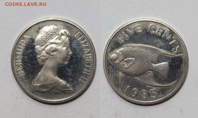 Бермуды 5 центов 1983 года Елизавета II - 1.02 - IMG_20250118_103336