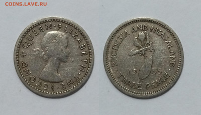 Родезия и Ньясаленд 3 пенса 1955 года - 1.02 - IMG_20250120_191602