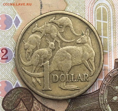 Австралия 1 доллар 1984 до 05.02.2025 в 22.00 - IMG_E5065.JPG