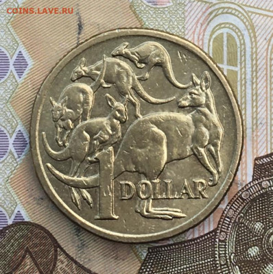 Австралия 1 доллар 2006 до 05.02.2025 в 22.00 - IMG_E5137.JPG