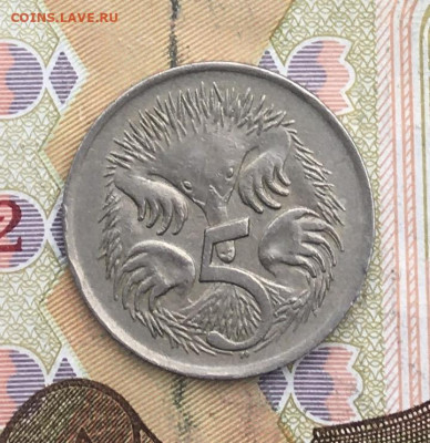 Австралия 5 центов 1966 до 05.02.2025 в 22.00 - IMG_E5095.JPG