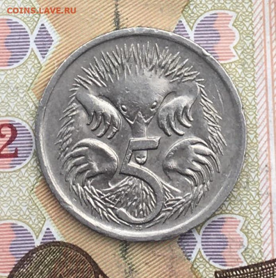 Австралия 5 центов 1987 до 05.02.2025 в 22.00 - IMG_E5093.JPG