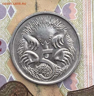 Австралия 5 центов 1993 до 05.02.2025 в 22.00 - IMG_E5089.JPG