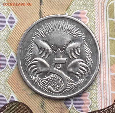 Австралия 5 центов 2003 до 05.02.2025 в 22.00 - IMG_E5091.JPG