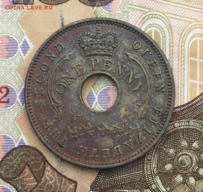 Нигерия 1 пенни 1959 до 05.02.2025 в 22.00 - IMG_E5014.JPG