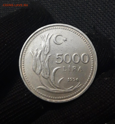 ТУРЦИЯ 5000 ЛИР 1994 года До 07.02 - 20241230_195829