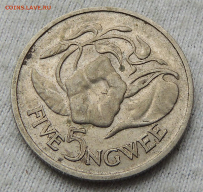 Замбия 5 нгве 1968 до 04.02.2025 - Замбия 5 нгве 68.JPG