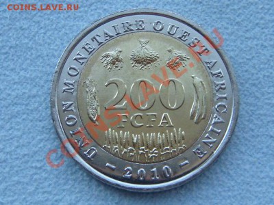 -vБ- Зап.Африка 200 франков 2010 бимет. до 9.02(21.00) - DSC06320.JPG