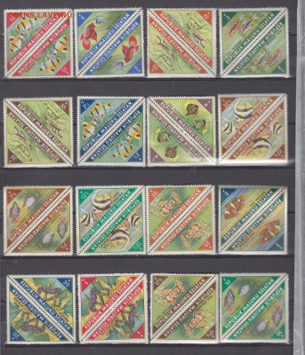 Малуку Селатам рыбки 16м** в тет беш  до 08 02 - 26