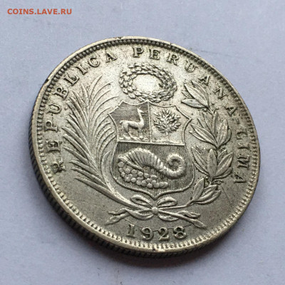 2 соль 1928. До 08.02.2025. - IMG-20250202-WA0015
