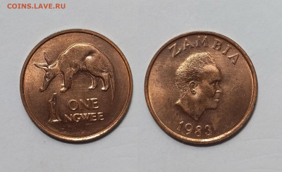 Замбия 1 нгве 1983 года - 4.02 - IMG_20250118_192652