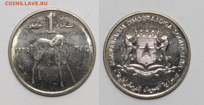 Сомали 1 шиллинг 1984 года - 4.02 - IMG_20250115_192256