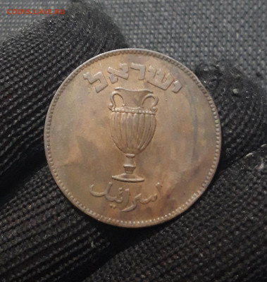 Израиль 10 прута 1949 года До 09.02 - 20241229_173548