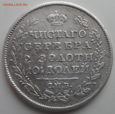 ПОЛТИНА 1819 года до 10.02 - SAM_0072.JPG