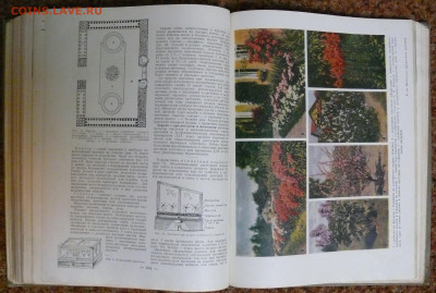 "Краткая энциклопедия домашнего хозяйства" в 2 томах 1960г. - P1830061.JPG