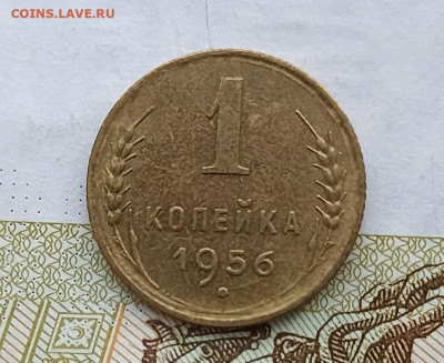 1 копейка 1956 - IMG_20250205_150831