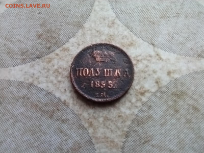 Полушка 1855 ем до 09.02.2025 - 1855 (7)
