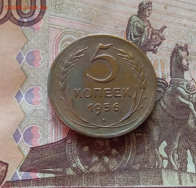 5 копеек 1956. До 11.02.25 в 22.00 - 20250206_200022
