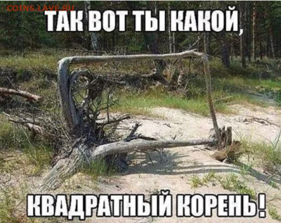 удалить - Screenshot_2025-02-06-23-03-41-577