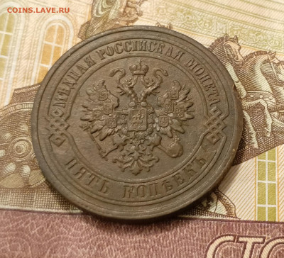 5 копеек 1881 до 09.02 - IMG_20250207_183609