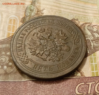 5 копеек 1881 до 09.02 - IMG_20250207_183634