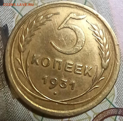 5 копеек 1931г до 09.02. 21-00 мск - 20250207_211308