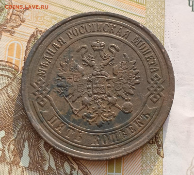 5 копеек 1869 до 09.02 - IMG_20250208_111706