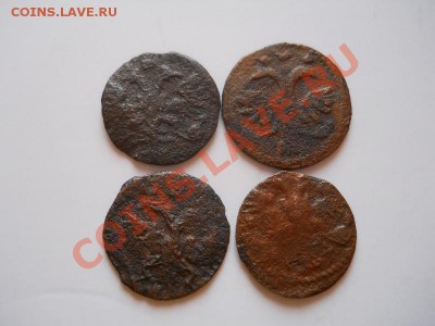 4 Полушки ВРП. Окончание в 21.45, 11.02.2012. - 72