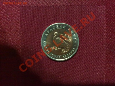 10 руб. 1992 Краснозобая казарка: раскол+смещение вставки - 050220122250