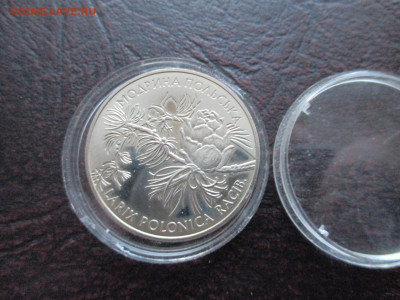 Украина 2 гривны 2001 год - Лиственница Модрина Польская - IMG_0027.JPG