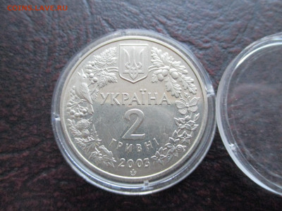 Украина зубр 2 гривны - IMG_0033.JPG