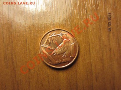 КАЙМАНЫ  1 цент 2002. - IMG_2417