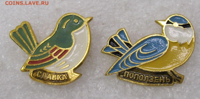 Птицы Славка и Поползень до 13.02. - IMG_6318.JPG