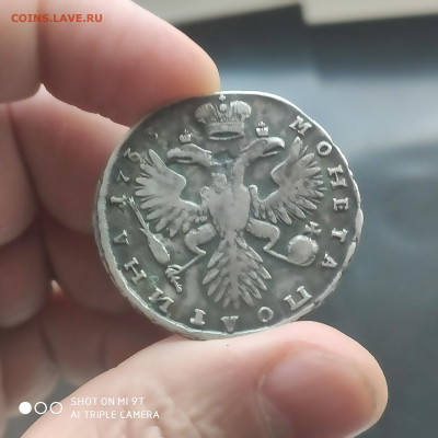 Полтина 1733 года, помощь в определении подлинности - 1739448415521
