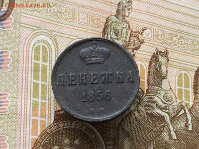 денежка 1856 ем до 16 02 2025 в 21-00 по мск - 100_9413.JPG