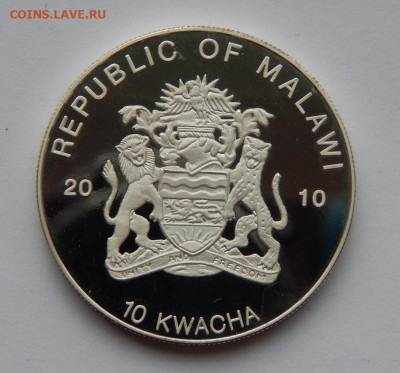 10 квач 2010 года Малави. Каррикери арлекин - DSCN9219.JPG