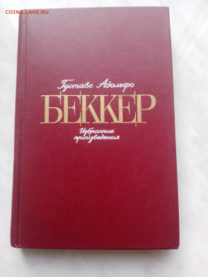 Густаво адольфо. Беккер до 21.02.25 в 22:00 по мск - IMG_20250215_152803