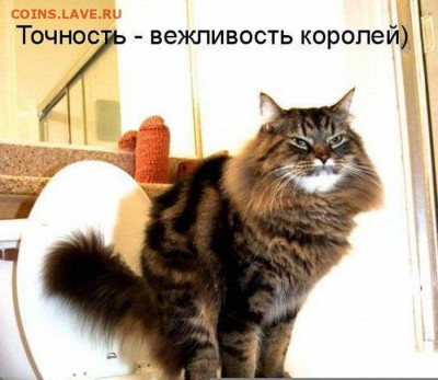 Ассоциация слов. - Точность - вежливость королей