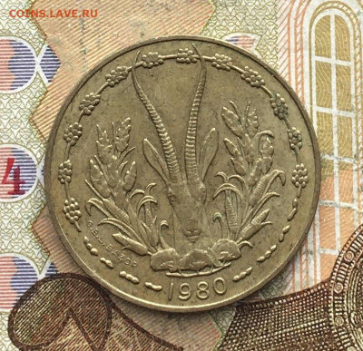 Западная африка 10 франков 1980 до 21.02.2025 в 22.00 - IMG_E5418.JPG
