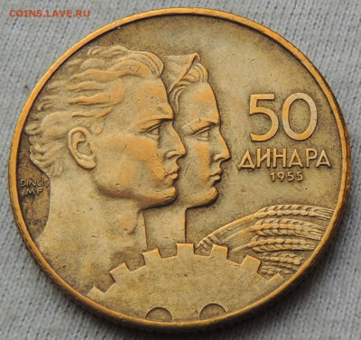 Югославия 50 динаров 1955 до до 19.02.2025 - югославия.JPG