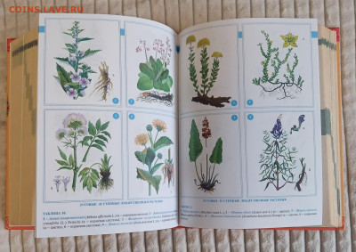 Большая энциклопедия народной медицины 2007 до 22.02.25 - 20250205_113534